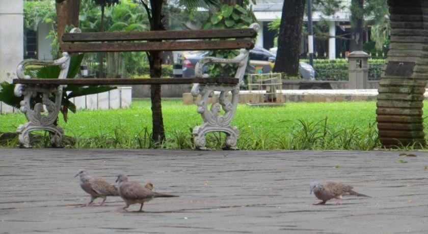 Sofyan Hotel Soepomo Cakarta Dış mekan fotoğraf